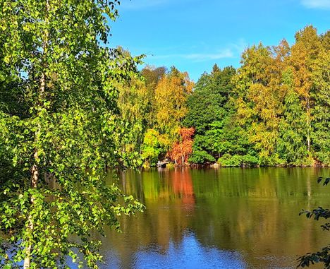 18. syyskuuta saatiin Nokialla nauttia näin kauniin aurinkoisesta syyssäästä.