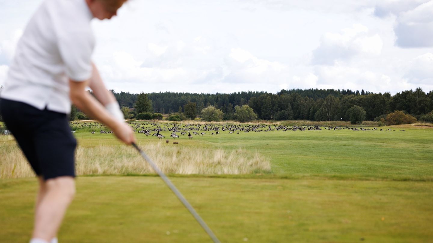 Harrastukset | Golfissa tapahtuu jotain outoa: naiset katoavat, eikä kukaan tiedä miksi