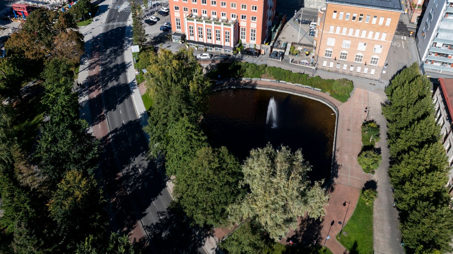 AL: Nuoria kehotetaan välttämään liikkumista Tampereen keskustan puistossa