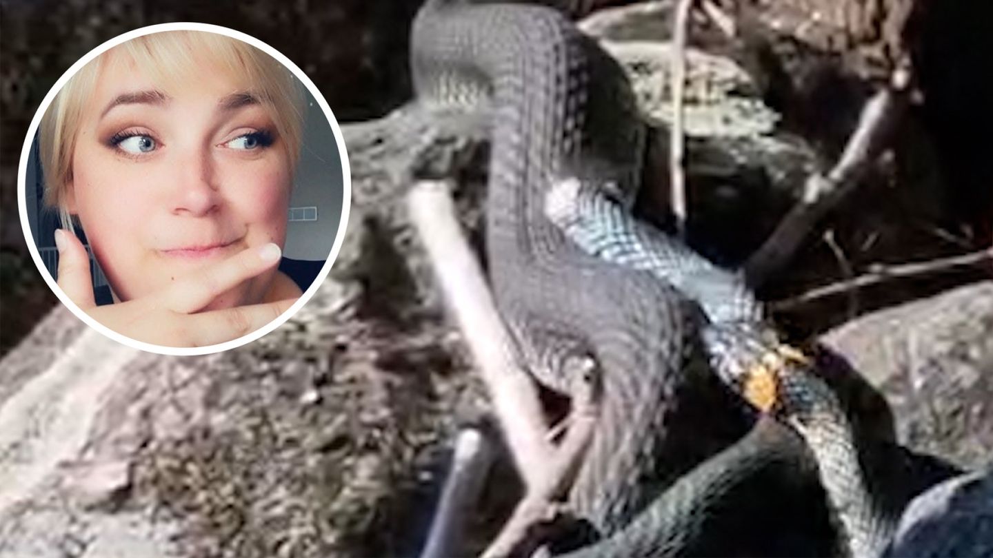 Sanja osui paikalle kesken kolmen käärmeen aktin: ”Aloin törkeästi salakuvata”