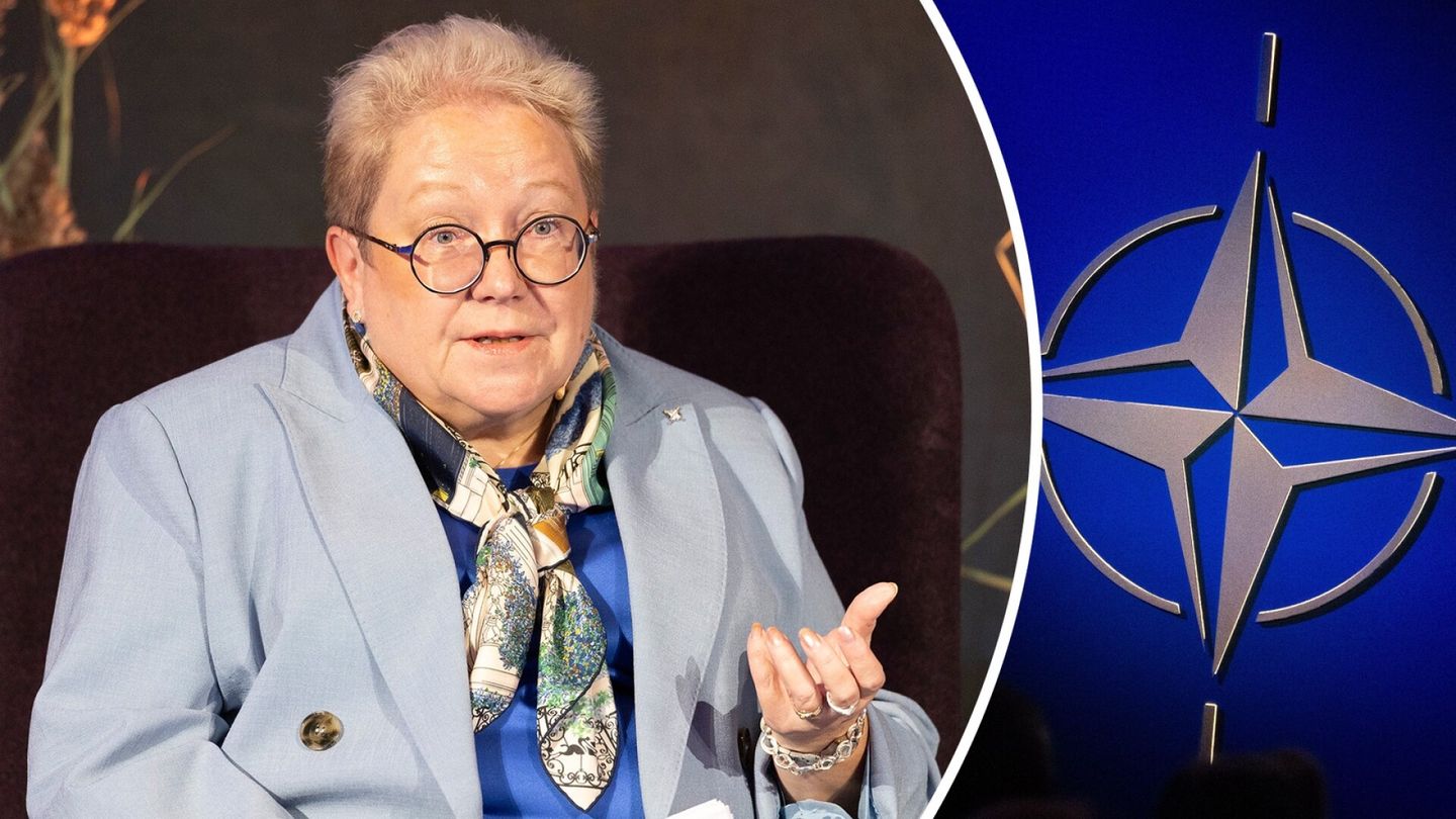 Pikadeittejä puolustukselle – tällaista on Tarja Jaakkolan työ Natossa