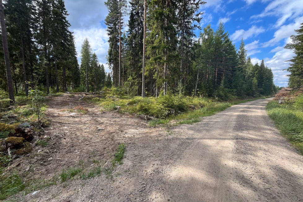 Mitä Porin TNT-metsässä tapahtuu, katso video: ”Kaamea pauke ja meteli” – Alueelta paljastui myös salainen kaatopaikka