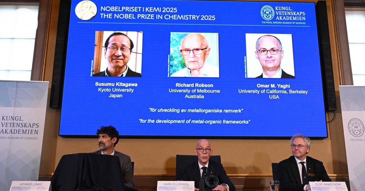 Chemistry Nobel for developers of large molecular structures