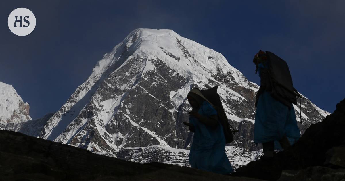 In the heights of the Himalayas, the very best breed