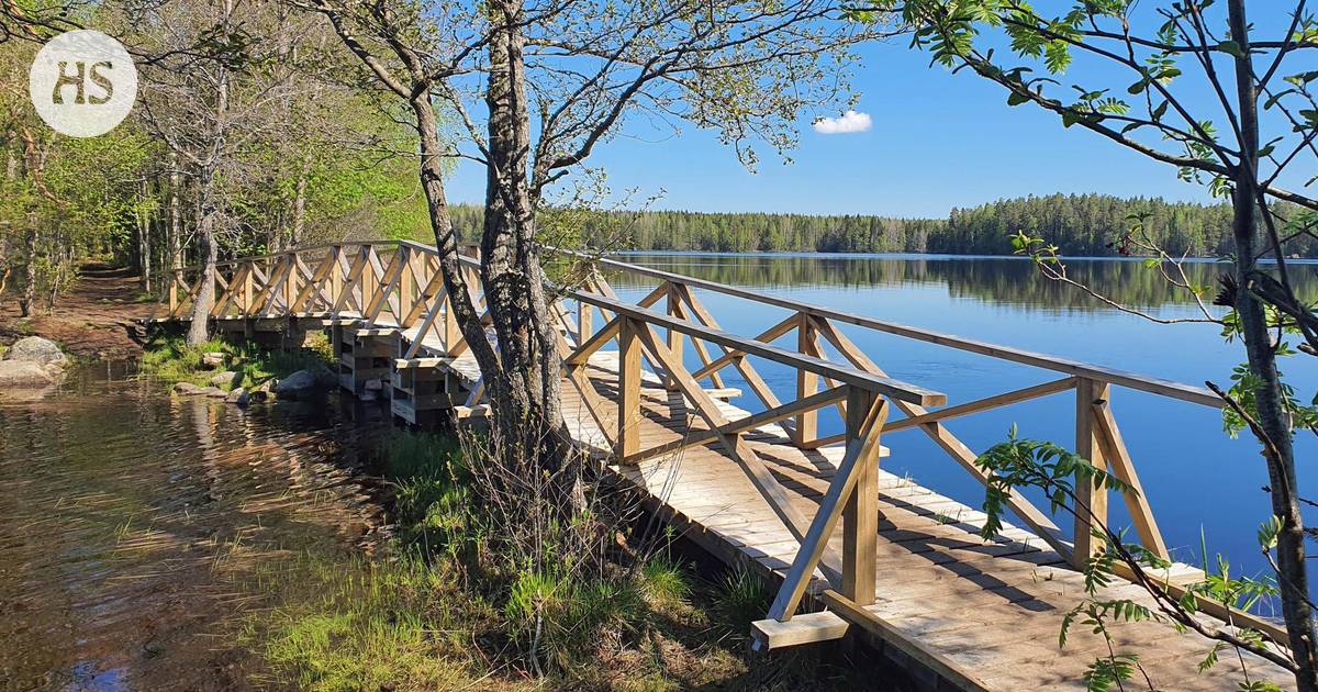 In the fairytale-like Liesjärvi National Park, you can stay in the primeval forest and marvel at the life of a traditional farm