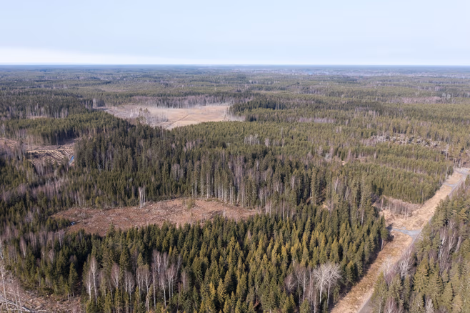 Porin TNT-laitokselle haetaan viittä työntekijää