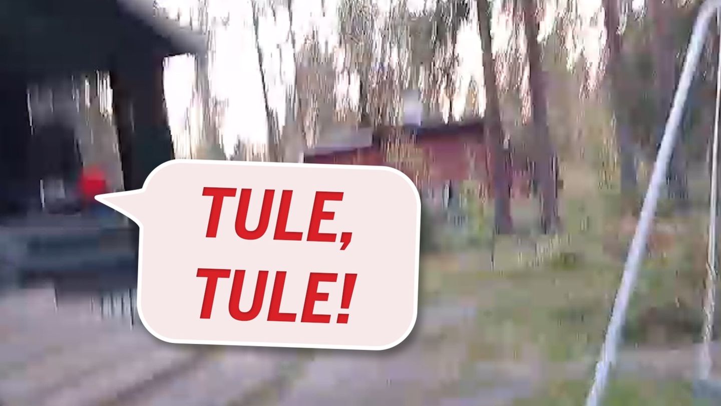 Jorma joutui ottamaan jalat alleen mökillä: ”Voi helevetti sinun kans!”