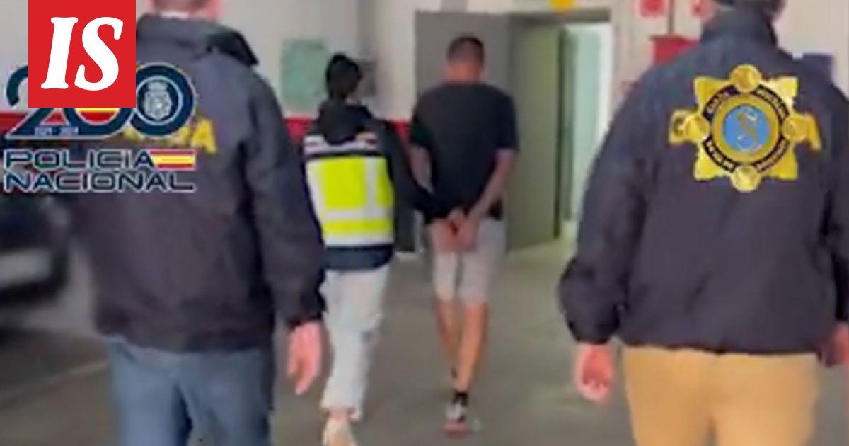 Jengipomo paljastui – piileksi Kanarialla