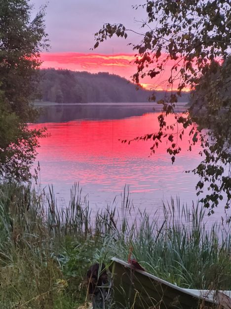 2.9.2025. Aamu ja punainen Vihnusjärvi.