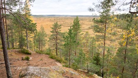 Siikanevalla on aihetta juhlaankin tänä vuonna, sillä Läntisen alueen rauhoittamisesta tuli kuluneeksi 50 vuotta. Kuva Jaarikanmaan laavukalliolta.