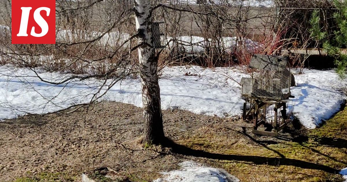 Leena huomasi liikettä pihallaan – sitten alkoi kaksi minuuttia pitkä trilleri