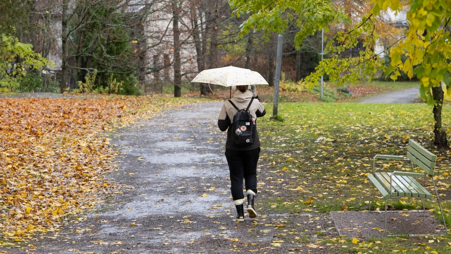 Syksy | Väsyneenä luovumme helposti juuri vääristä asioista