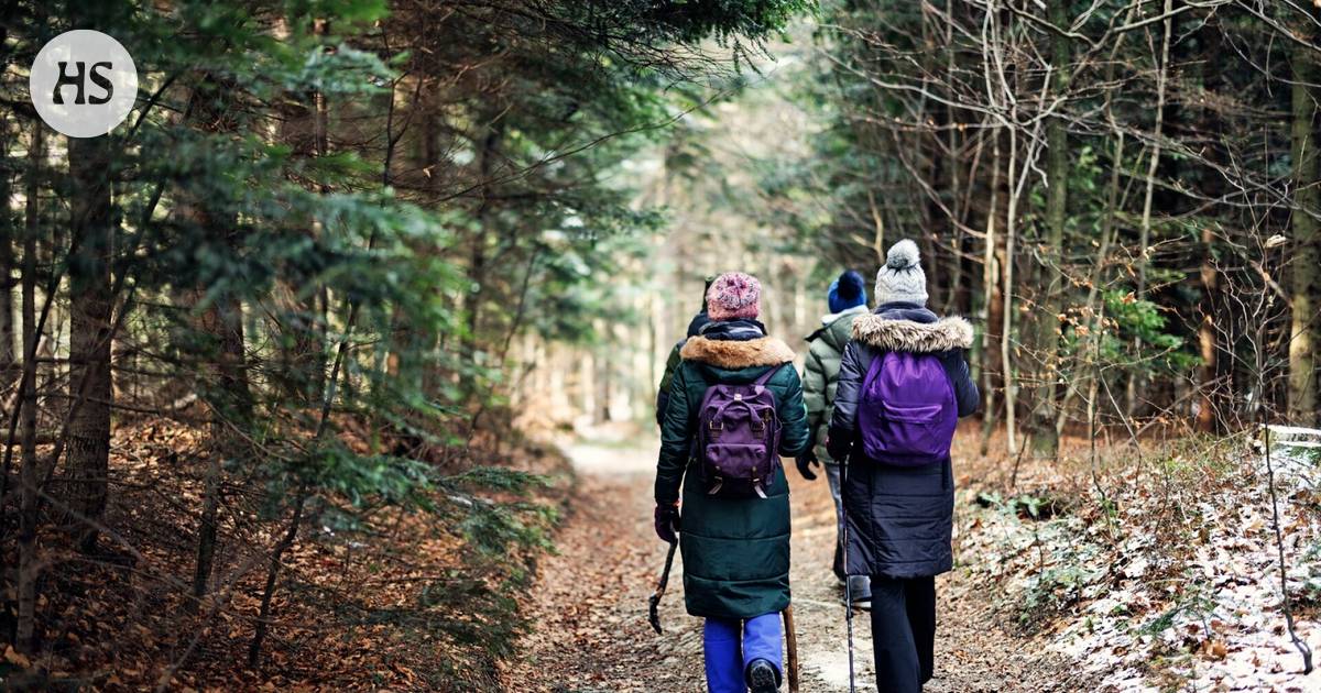 The experiment showed: The noise of people in the forest scares the animals