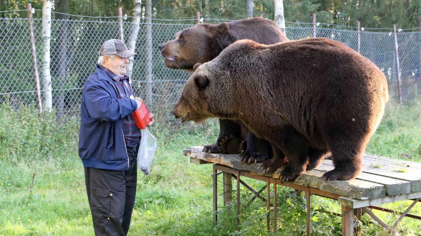 Sulo Karjalaisen talousrikostuomio lieveni hovissa – ei tahallisuutta