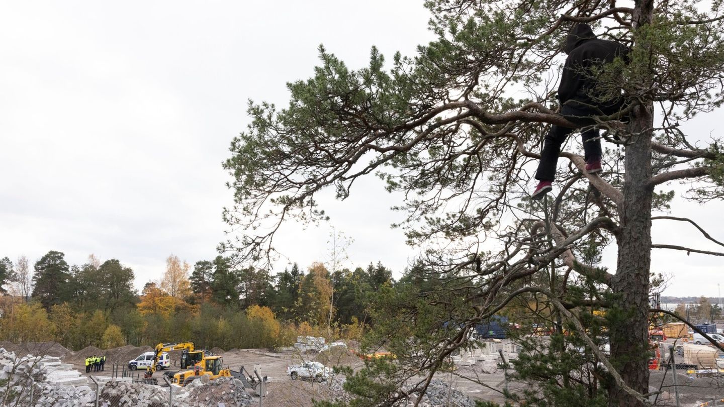  Kiista Stansvikinkallion metsistä kuumentumassa jälleen