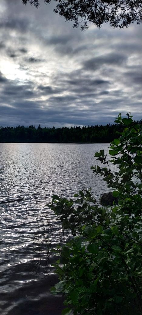 Alinenjärvi.