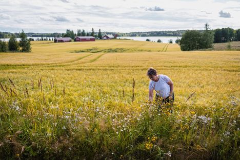 Ovatko arvosi koventuneet, Sari Essayah?