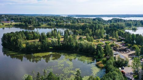 Viinikanniemen vehreyttä elokuussa 2021 ennen kunnallistekniikan rakennustöiden alkamista.