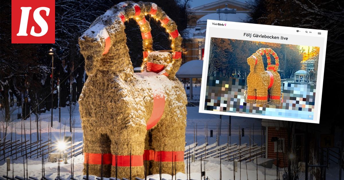 Pukki selvisi jouluun