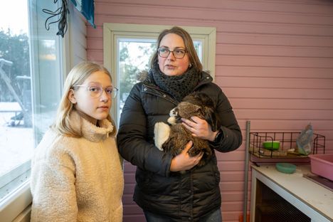 Milja ja Jenni Talosaari esittelevät perheen Olaf-pupun omaa pientä mökkiä pihapiirissä. Jenni Talosaari on allerginen pupun syömälle heinälle, joten Olaf ei voi asustaa sisällä talossa. Hyvin eristetyssä mökissä on sähkölämmitys. 