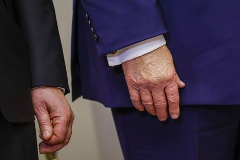 Trumpin Oikea Poppy Heratti Huomiota Jurkussa.