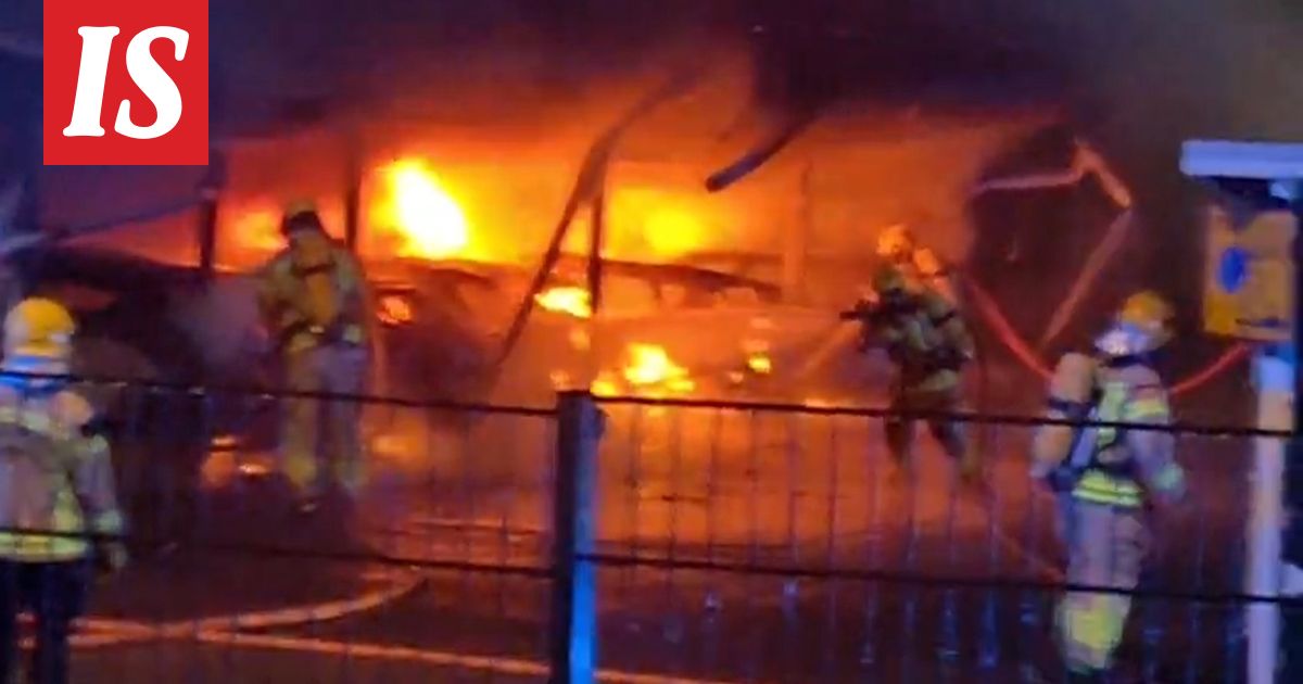 HS: Leila pelasti useita autoja Roihuvuoren tulipalossa