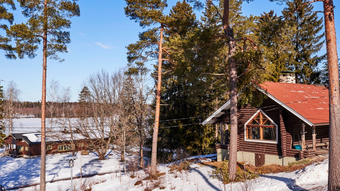 Lohja Campsite Closed for Summer Due to Bed Bugs