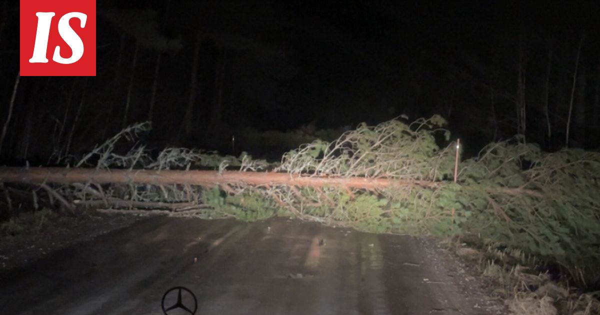 Puita alkoi kaatua, kun Aaron perhe matkasi mökille – viettivät autossa tunteja