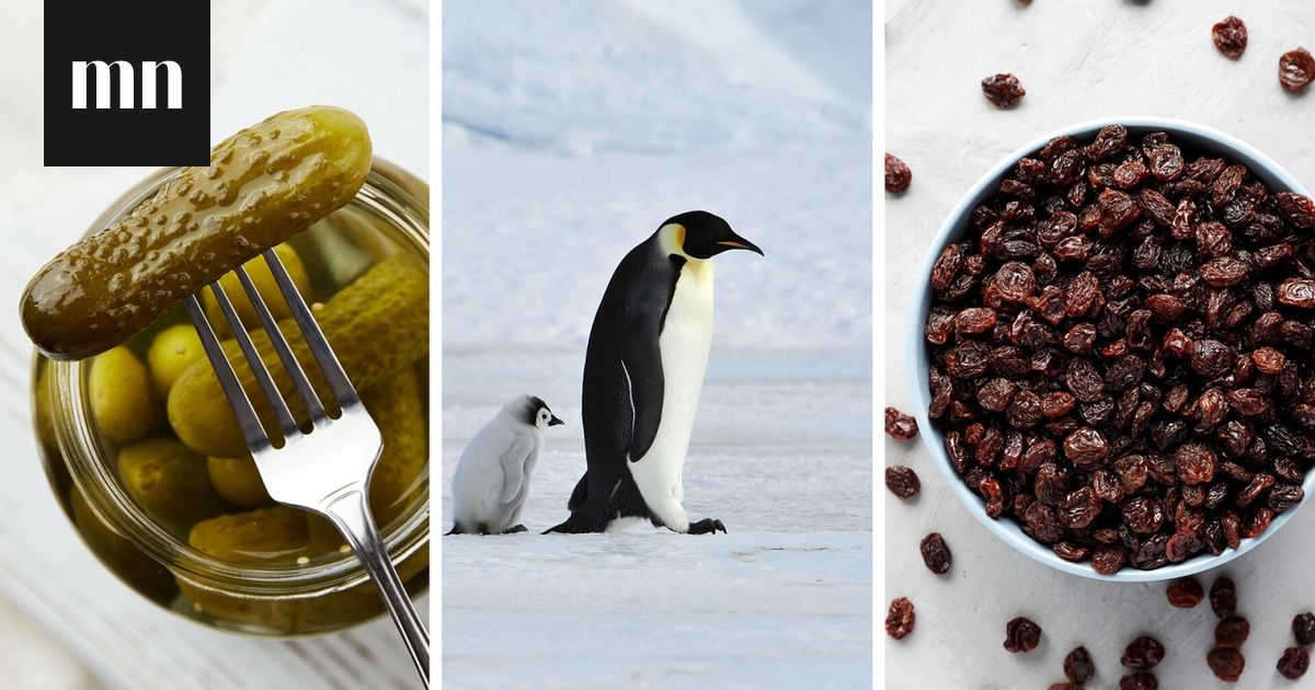 Listasimme 9 asiaa, jotka moni on tajunnut kiusallisen myöhään