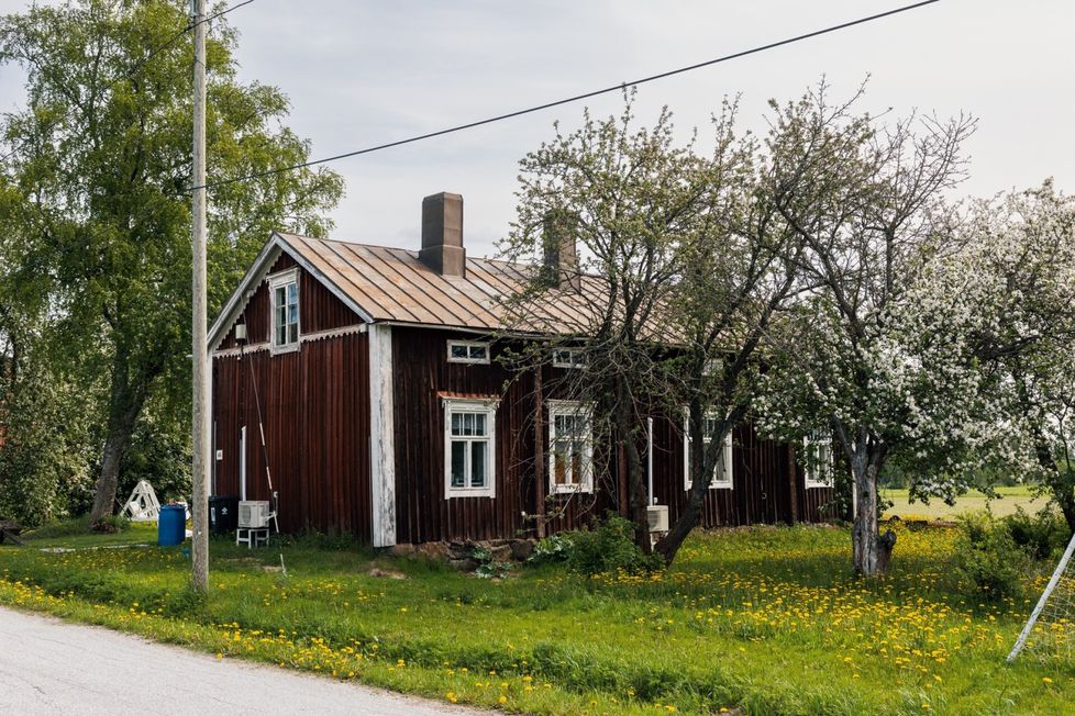 Epätoivo ajoi suurperheen piiloon, nyt koko Suomi tietää heidät | HS.fi