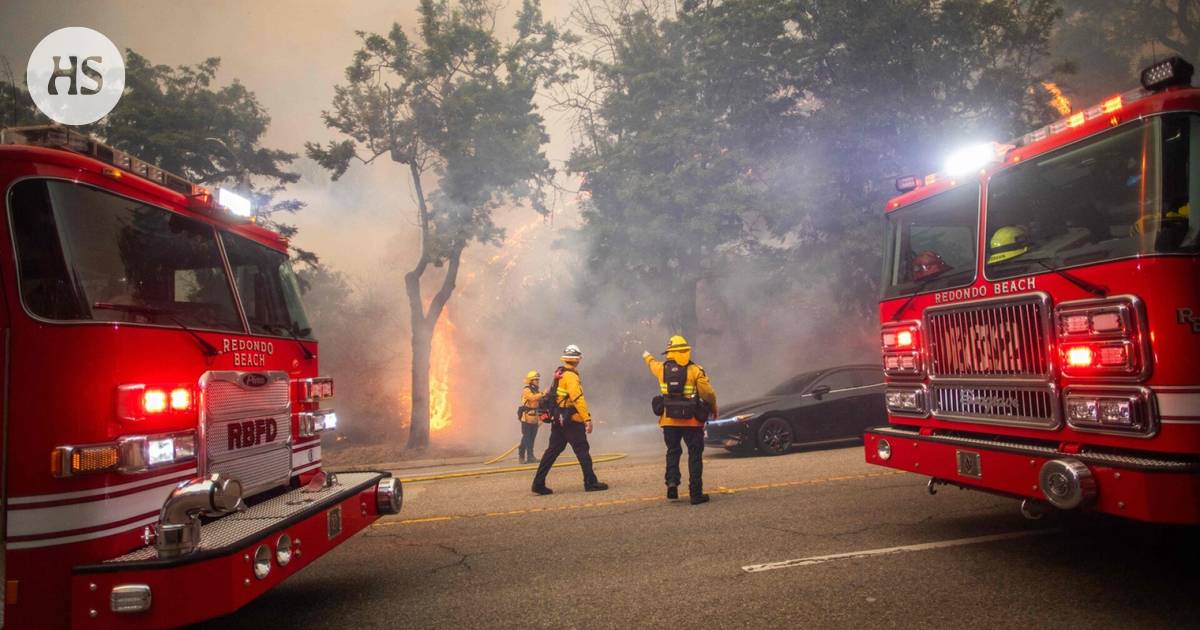 Actor Mark Hamill had to leave his home to escape the Los Angeles wildfires, premieres have been canceled