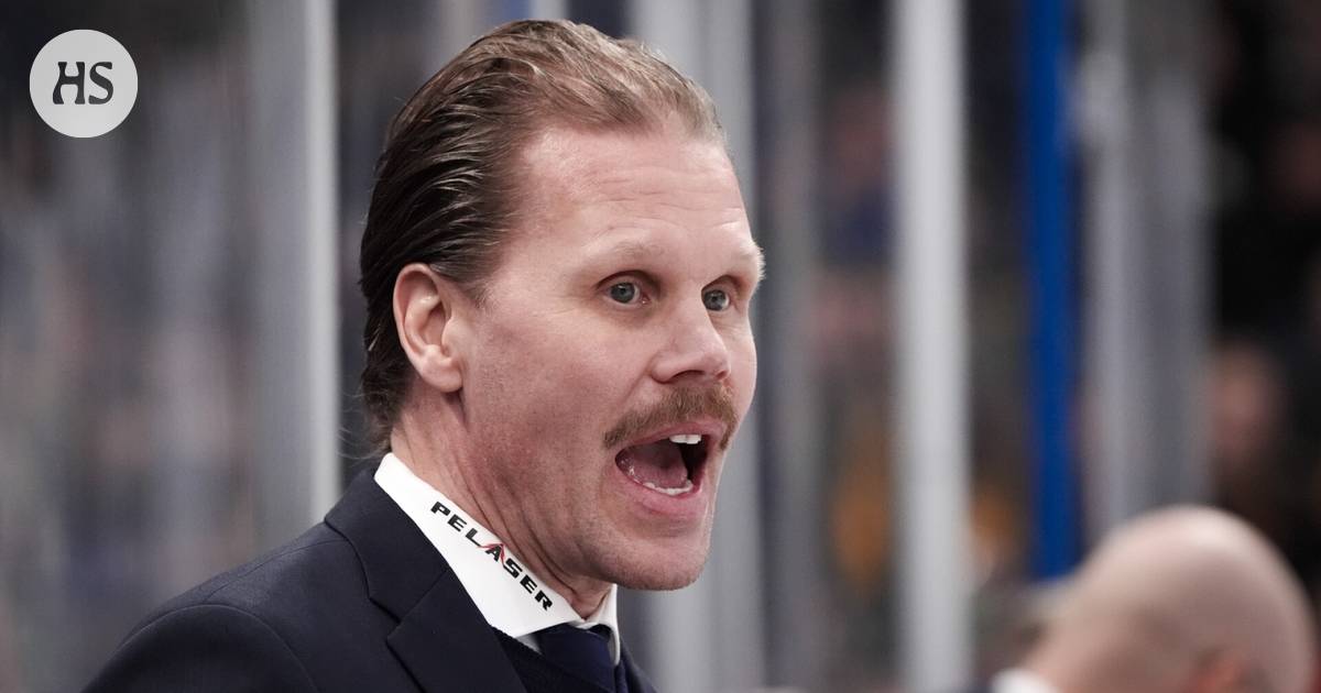 Olli Jokinen explains – this is how the difference between Sweden and Finland can be seen in practice