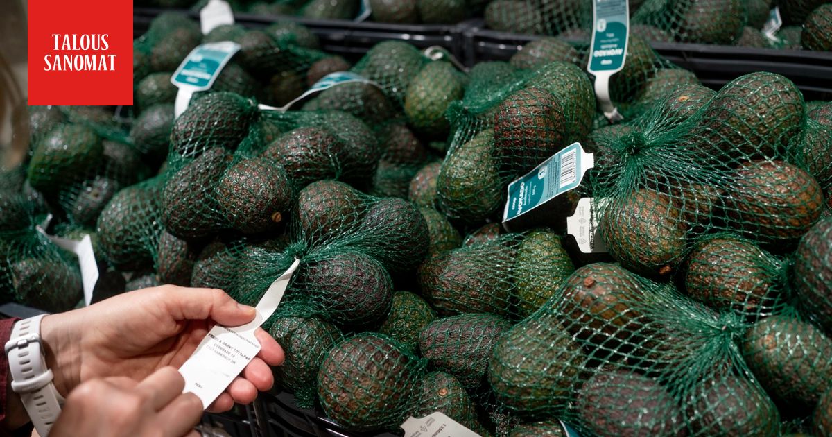 S-ryhmä väittää ratkaisseensa ihmiskuntaa riivanneen avokado-ongelman