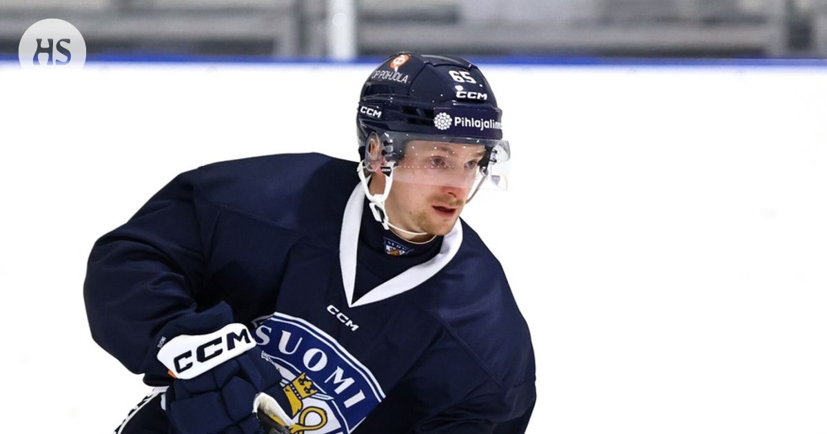 Sakari Manninen returns to Leijon after a break of many years