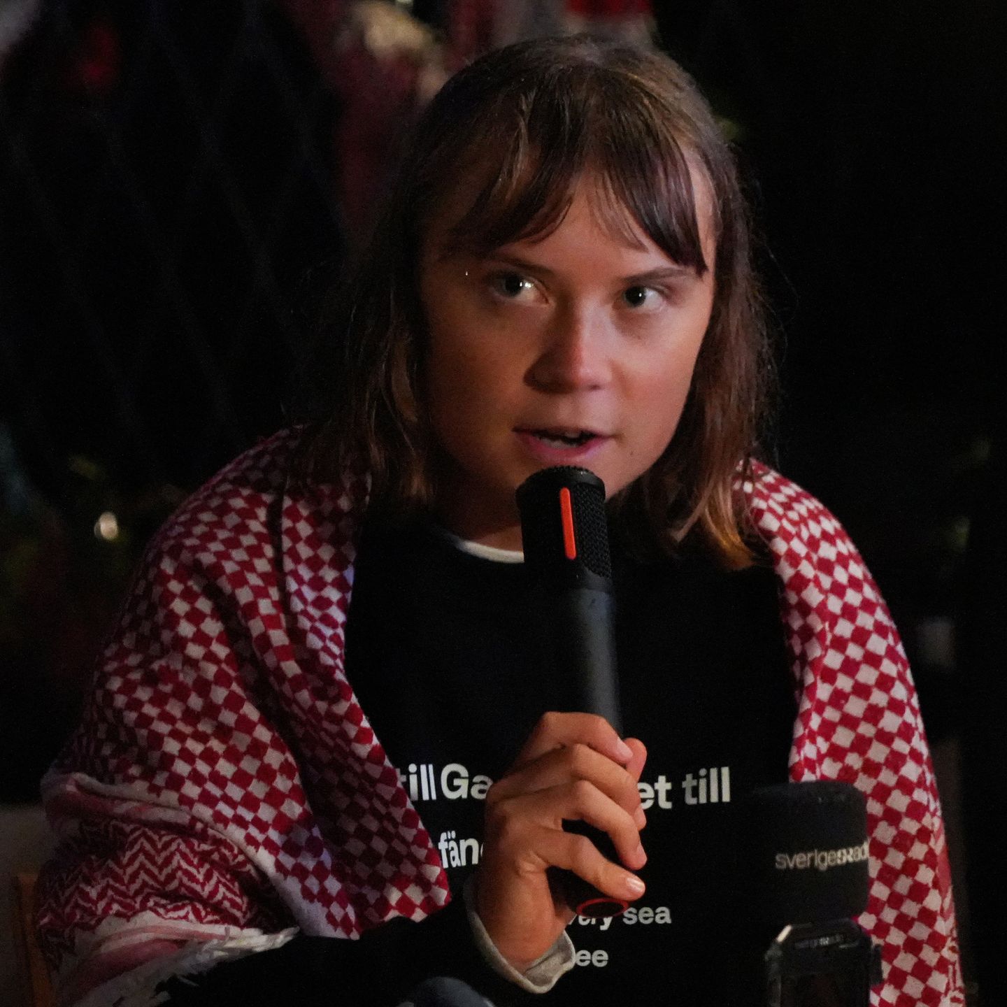 Thunberg accuses Israel of abuse