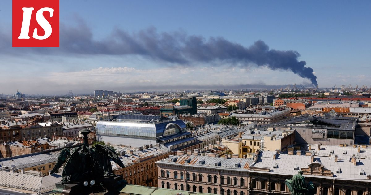 Pietarilaiset tuskaisena lennokki-iskun aikaan – ”Helvetti, kukaan ei puutu niihin!”