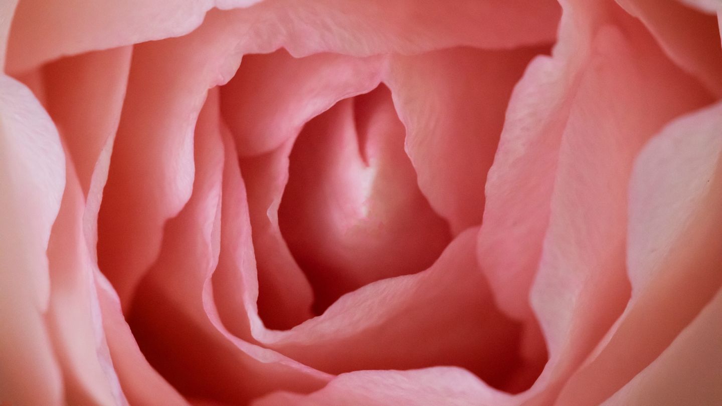 Gynekologi kertoo, minkä kokoiset häpyhuulet ovat normaalit