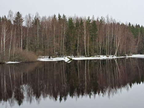 Paula Lindström pistäytyi Siuronkoskella kuvaamassa kevään tuloa. Kuva on otettu 26. helmikuuta.