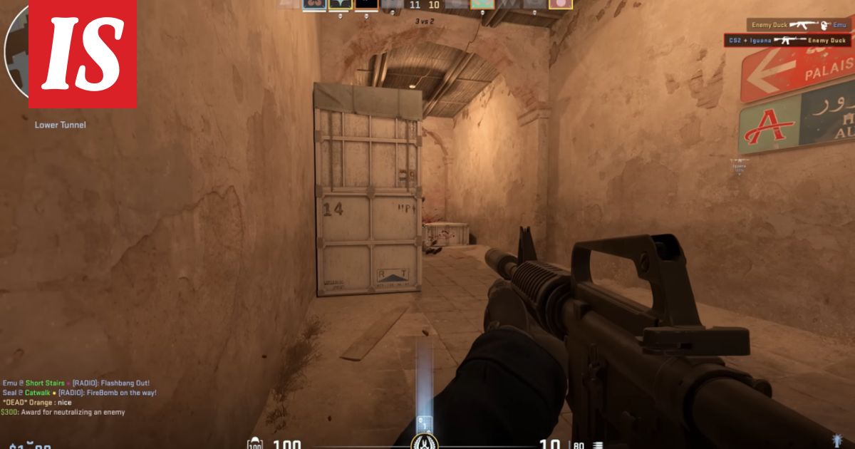 155 680 pelikieltoa perattiin – tämän ikäiset ovat kaikista myrkyllisimpiä