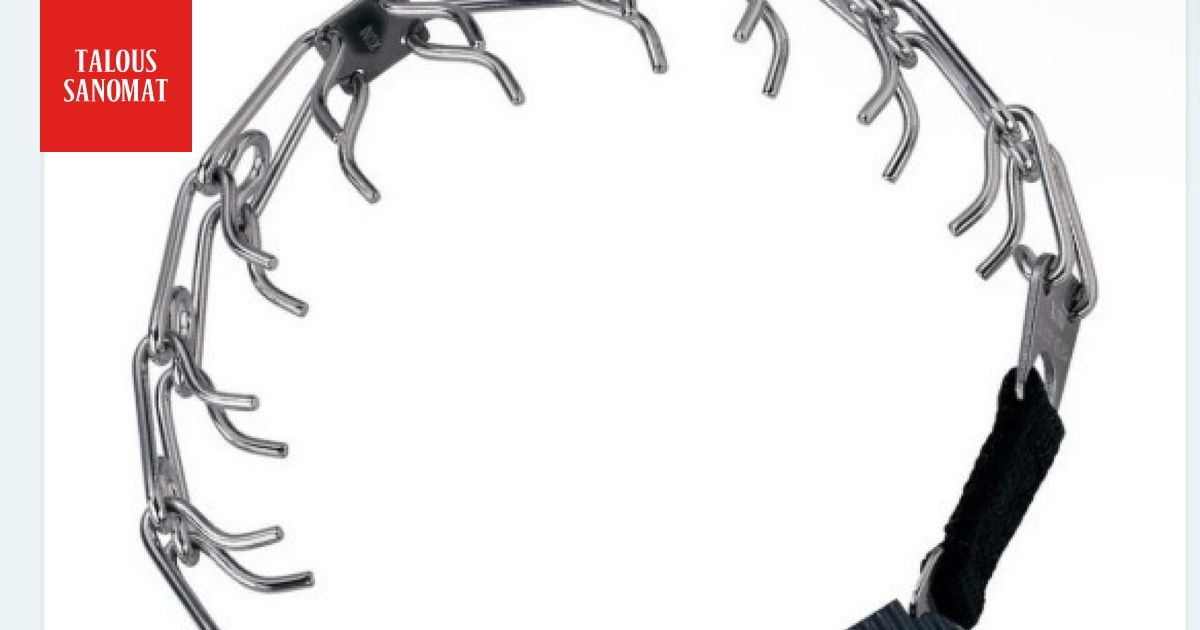 Kauppa myi netissä kiellettyjä tuotteita koirille – näin toimitusjohtaja selittää