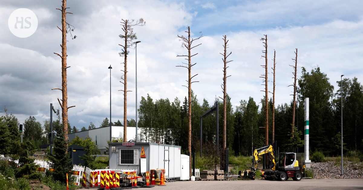 Rahankäyttö | Pääkaupunkiseudun liito-oravatolpat maksavat toista miljoonaa