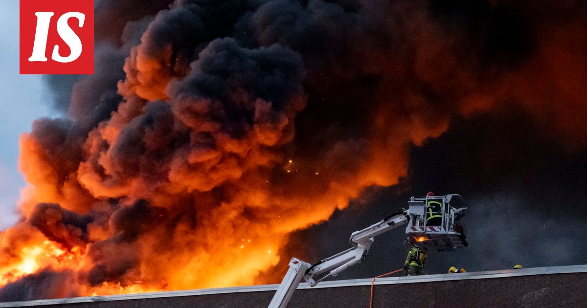 Poliisi: Kalasataman grillaaja kiistää syyllistyneensä rikokseen