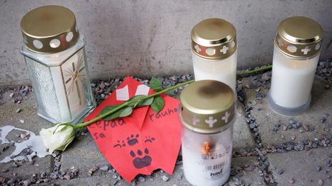 Suomessa surmattiin vuosina 2009–2022 yhteensä 58 alle 15-vuotiasta lasta. Melkein kaikki heistä tappoi perheenjäsen. Samalla ajanjaksolla kuoli lisäksi 257 aikuista puolison, seurustelukumppanin tai entisen sellaisen surmaamana.