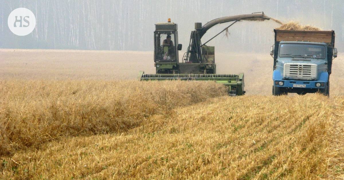 Russia restricts grain exports due to a poor harvest