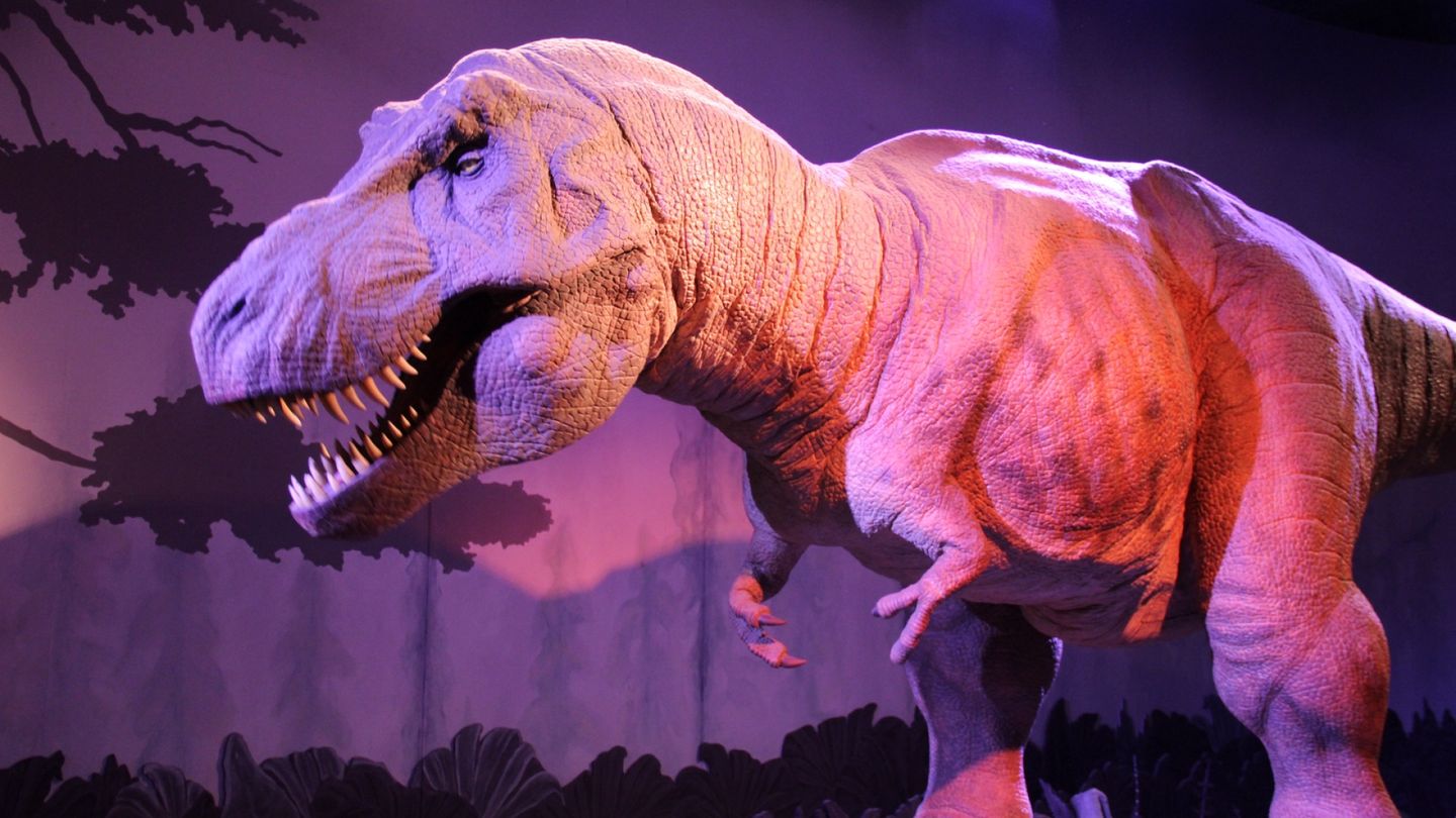 Tyrannosaurus rex had tiny arms because it had a big head