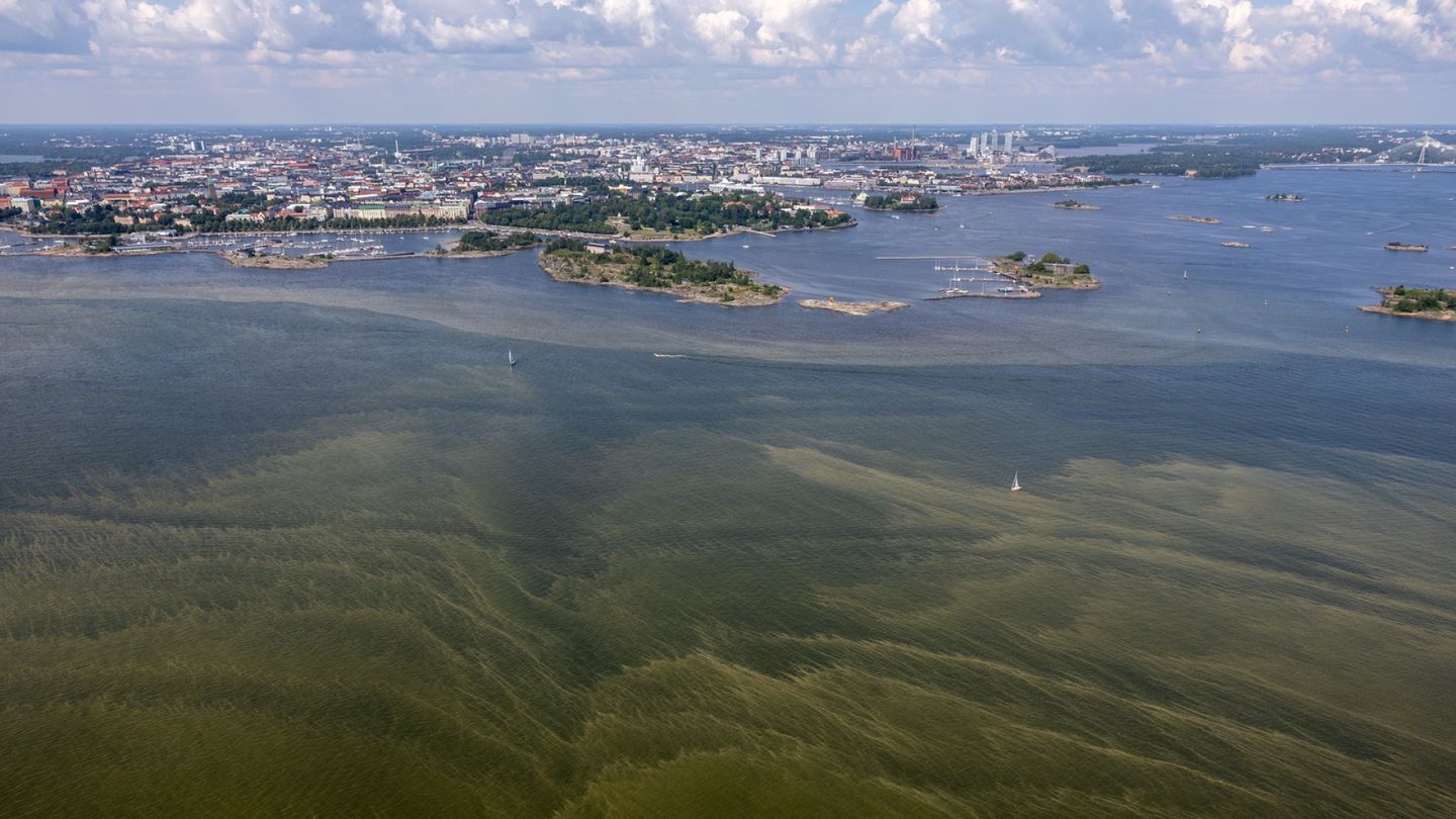 Finland's Environment Institute Cuts Cyanobacteria Reports Amid Funding Reductions