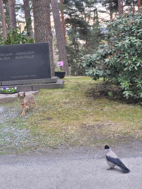 Aamuinen kohtaaminen kirkolla 9. toukokuuta. Kuva: Marja-Liisa Naulapää