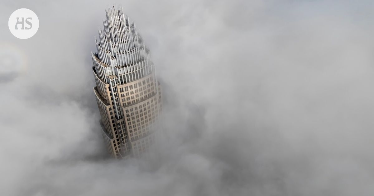 Fog bacteria clean the air