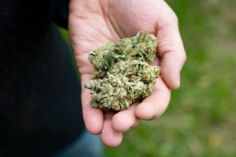 Muun muassa kannabiksen käyttö on lisääntynyt nokialaisten yläasteikäisten keskuudessa.