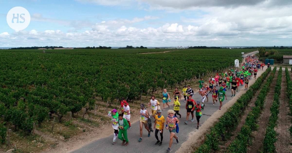 The Medoc wine marathon caused a stir in Norway